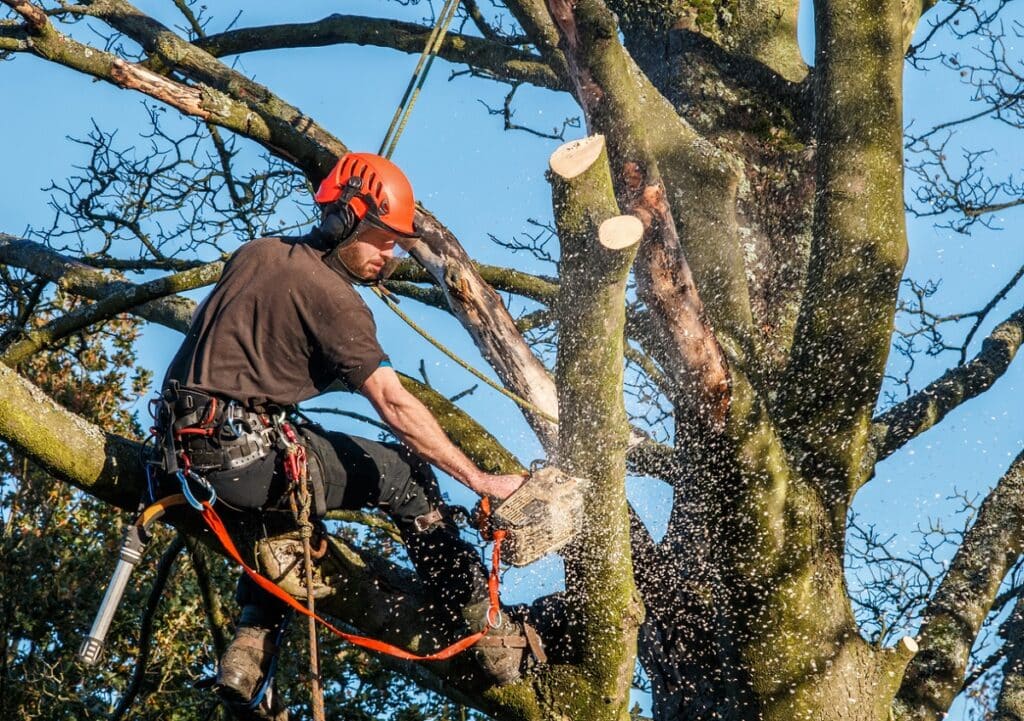 worker using a chainsaw to cut branches
